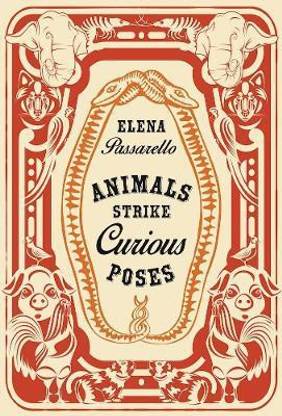 Animals Strike Curious Poses