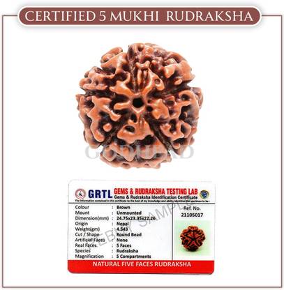 GODHEAD GODHEAD 100% NATURAL/ORIGINAL CERTIFIED NEPALI 5 MUKHI RUDRAKSHA WOOD PENDANT Wood Pendant