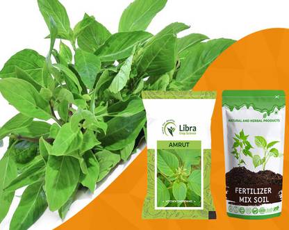 NATURAL AND HERBAL PRODUCTS Amaranthus Seeds for Home Garden | Hybrid | Malabar Spinach | Koya Thotakura Seed