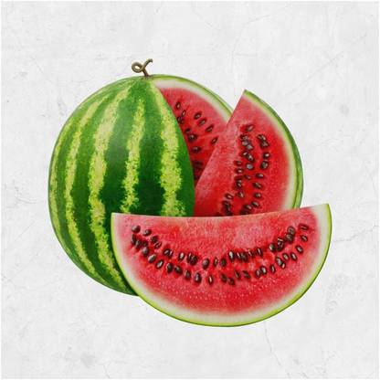 XOLDA Watermelon Seed