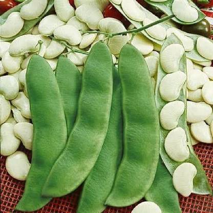 GranysGarden Local Beans seeds, Chikkudukaya seeds Seed