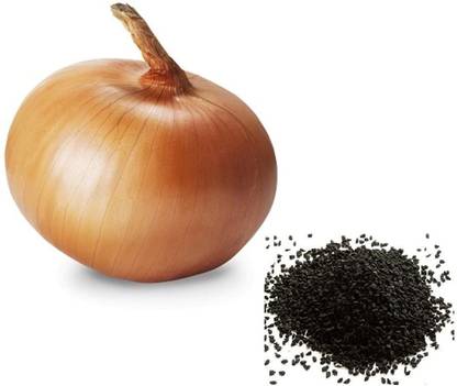 DST onion seeds Seed
