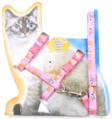 Hachiko Cats Need Nylon Cat Collar Harness with Leash Set Adjustable For All Cats Cat Harness & Leash