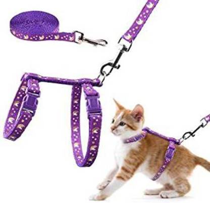 Hachiko Cats Need Cat Nylon Collar, Harness with Leash Set Adjustable For All Size Cats Cat Harness & Leash