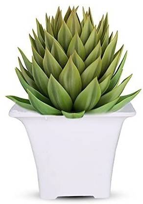 VEEDE Fensi Square | 3 inch | White | Pack of 1 Plant Container Set