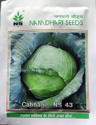 Namdhari Seeds Cabbage, NS 43 Seed