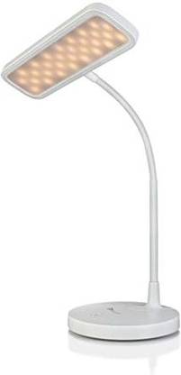jjoi dbd Study Lamp