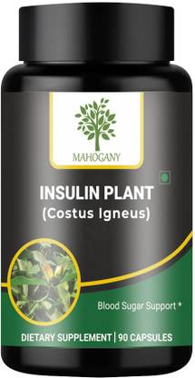 MAHOGANY Insulin Plant (Costus Igneus) Capsules