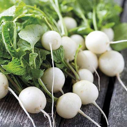 JD AGRO Radish White Round Seed