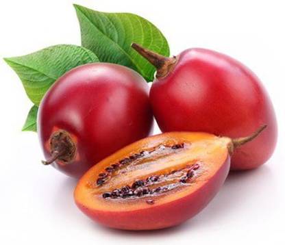 syed garden Tamarillo Tree tomato seed Seed
