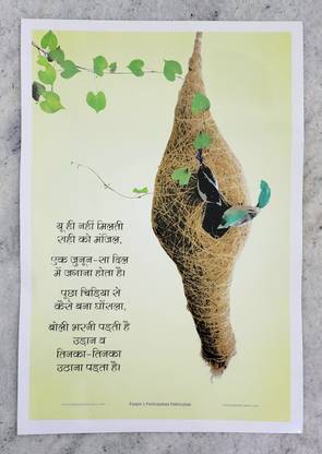 Quick fix Display of NEST suitable for Bedroom, Office, School, Coaching, and it's Waterproof Fine Art Print