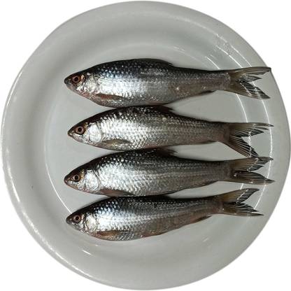 Big MeatMart kolkata Bata Fish (Cleaned) Whole