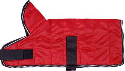 Ayra pet care Coat, Life Jacket, Sweater for Dog, Cat