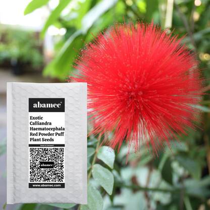 Abamec Calliandra Haematocephala Red Powder Puff Seed