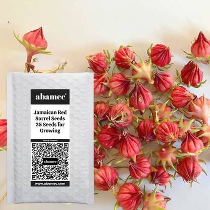 Abamec Jamaican Red Sorrel Seeds Seed