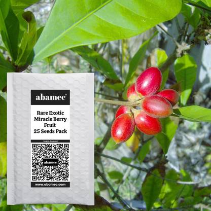 Abamec Miracle Berry Fruit Tree Seed