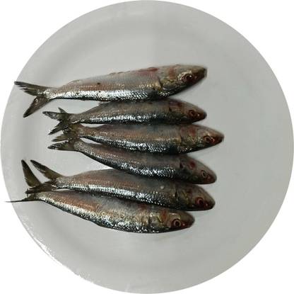 Big MeatMart Sea Saradine - Cleaned (without head) Whole