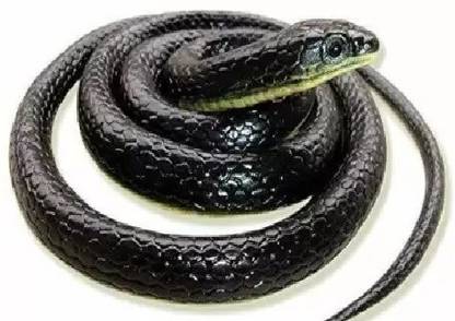 FineArts snake figure toy
