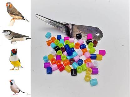 BEEMAPETS Finches Plastic Leg Ring / Band (2.5mm) Multicolor 50 nos + Ring Applicator Bird House