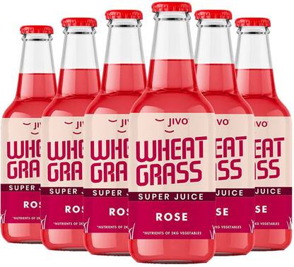JIVO Healthy Wheatgrass Immunity Booster Juice Rose