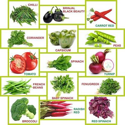 Beej Wala 15 Varieties Vegetable Seeds Seed