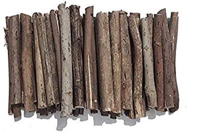 BABA KA DEEWANA Neem Tree Wood