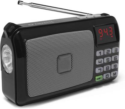 Dopshop Pocket FM Portable Multimedia Speaker with Powerful Torch 10 W Tower Speaker