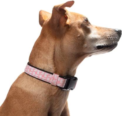 Pixie Drip Dog Collar, Pink Bunny Adjustable With Snap On Dog Everyday Collar