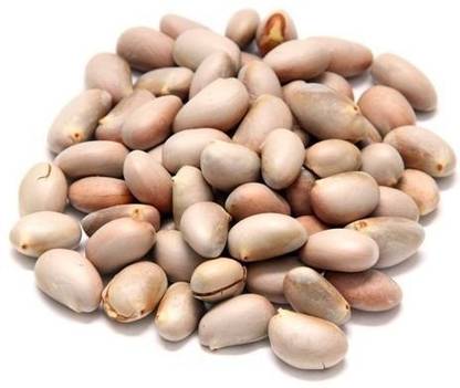 Forestree Jack fruit seed, Chakka kuru Seed