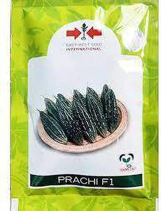 East West Seeds east west prachi f1 bittergourd seeds Seed