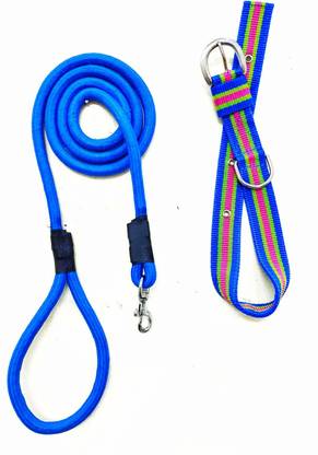 JAPIN Dog & Cat Collar & Leash