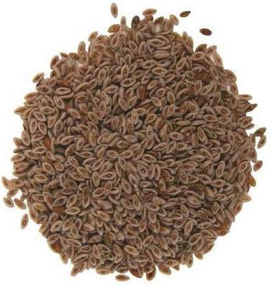 Nutrixia food Isabgol Beej / इसबगुल बीज / Flea Seed / Plantago Ovata Seed