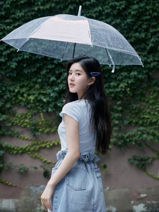 Wollz Kanopi Monsoon Transparent Automatic Open Umbrella, Waterproof, Windproof Umbrella