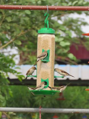 AMIJIVDAYA Large Hexagon Shape Window Bird Feeder