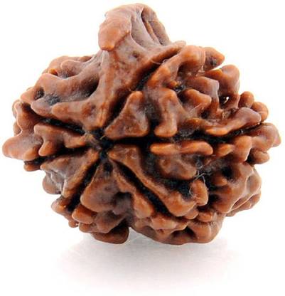 numeroastro Ganesh Rudraksha (6Mukhi) Beads Wood