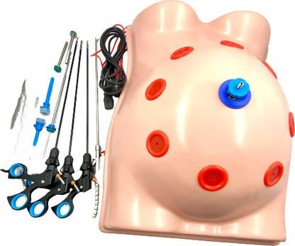 tsw Laparoscopic Endo Trainer with Instruments Sets Medical Equipment Combo