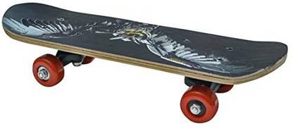 HHS SPORTS Eagle Printed skate board for all age group (Multicolor) 6 inch x 23 inch Skateboard