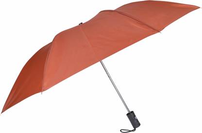 Flipkart SmartBuy 2 fold Auto Open Polyester Umbrella
