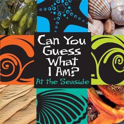 Can You Guess What I Am?: At the Seaside