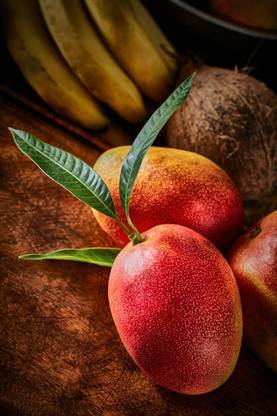 Miyazaki Grafted Mango Plant