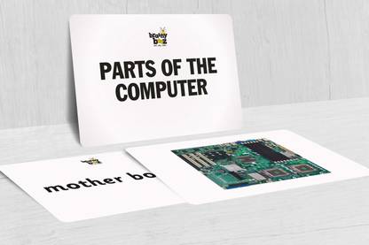 brainybeez Parts of the Computer Flashcards