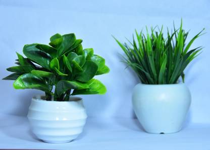 BKD Plant Container Set