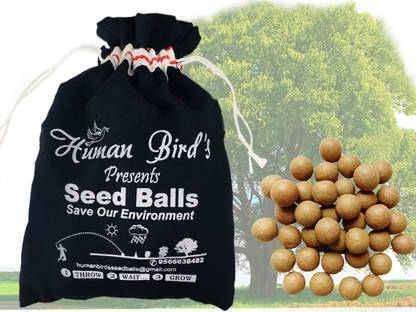Human Birds International Seed Balls, Just Throw & Grow, Tree Seed Bombs (Guava Seed Balls, 50) Seed
