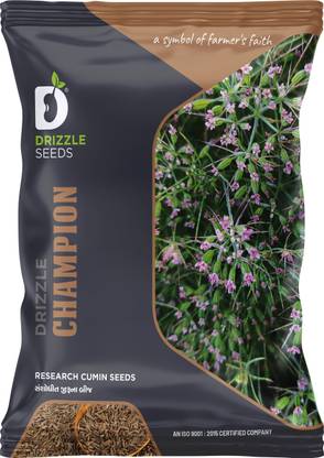 drizzle seeds DRIZZLE CHAMPION, CUMIN SEEDS, JIRA SEEDS, JIRA BEEJ Seed