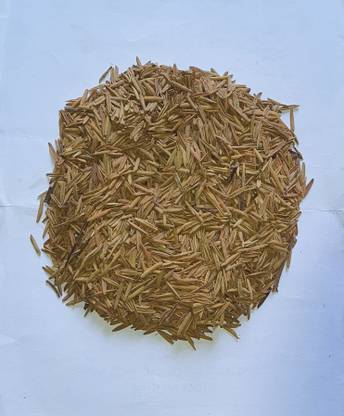 sharpvaishno kutaja seeds Seed