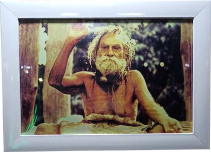 ALDOMIN Devraha Baba Religious Photo Framed (12.5 x 9 inch) 02 Decorative Showpiece  -  2 cm
