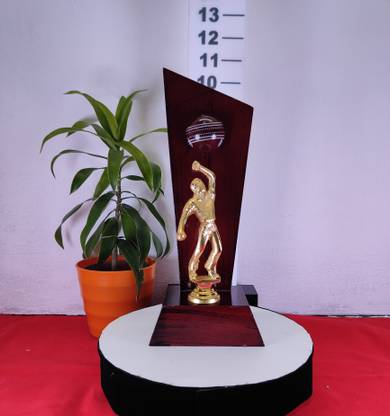 BIZSOL TECHNOLOGIES Cricket Bowller Trophy Trophy