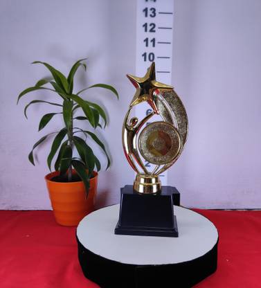 BIZSOL TECHNOLOGIES Single Boy Star Trophy Trophy