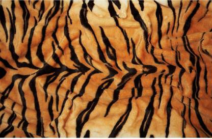 Pitaara Box Texture Of A Tiger Skin Unframed Wall Art Painting Print Canvas 16 inch x 24.7 inch Painting