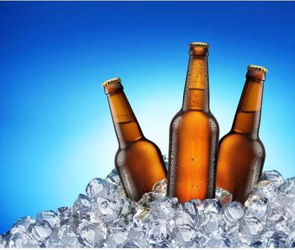 Pitaara Box Beer Bottles Unframed Wall Art Painting Print Canvas 18 inch x 21.5 inch Painting